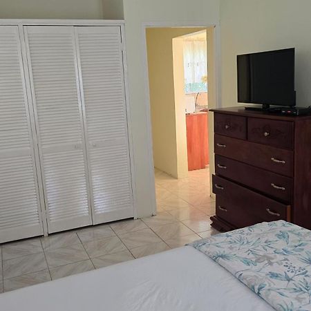 Wizzy Apartment White River Ocho Rios Zewnętrze zdjęcie
