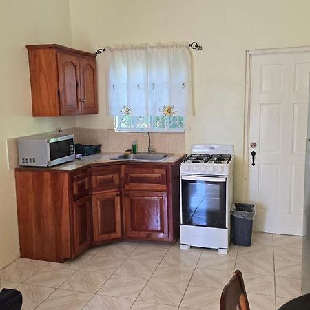 Wizzy Apartment White River Ocho Rios Zewnętrze zdjęcie