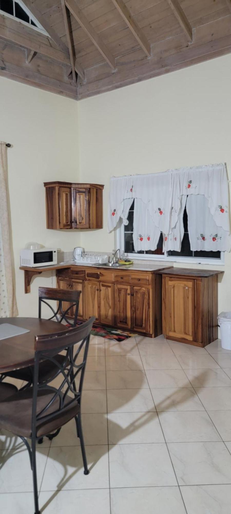 Wizzy Apartment White River Ocho Rios Zewnętrze zdjęcie