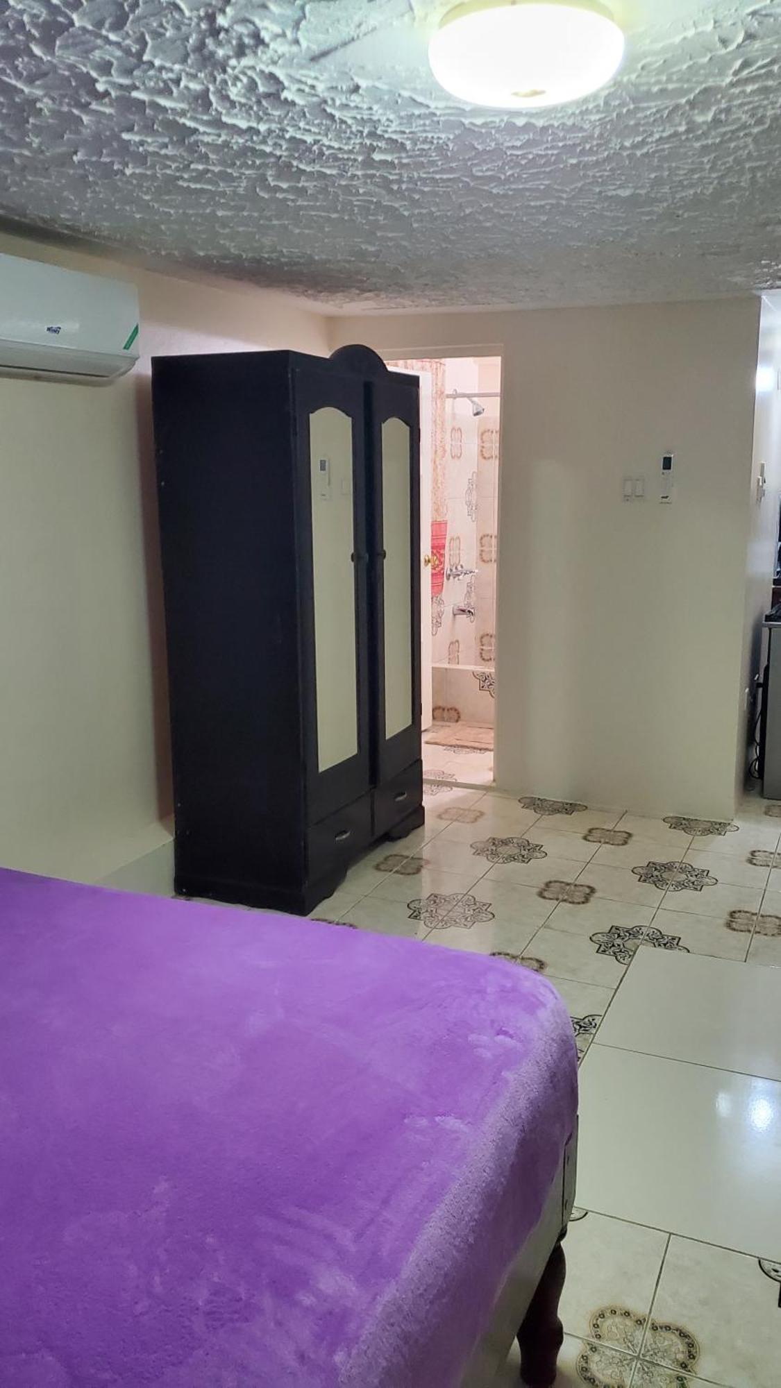 Wizzy Apartment White River Ocho Rios Pokój zdjęcie