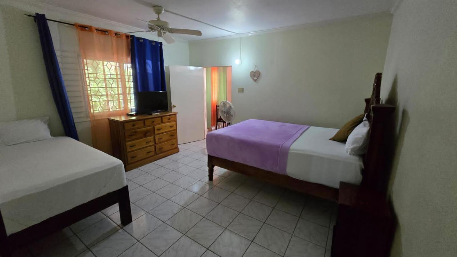 Wizzy Apartment White River Ocho Rios Pokój zdjęcie