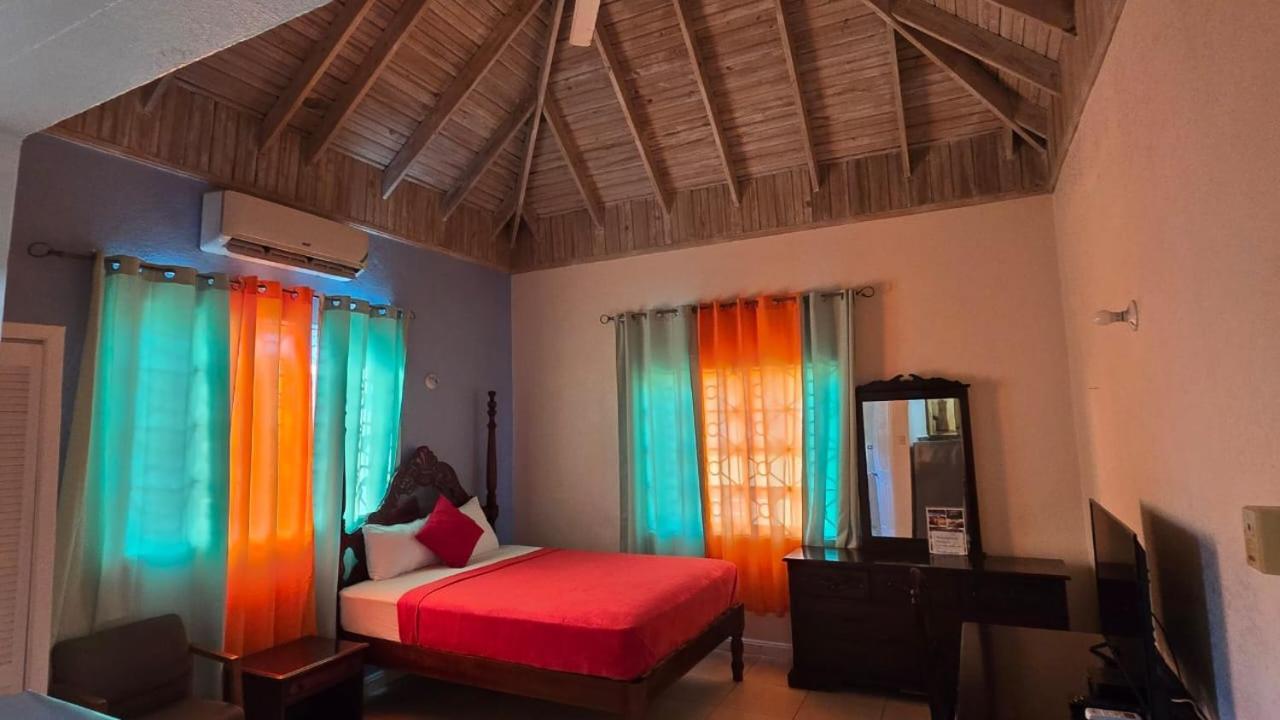 Wizzy Apartment White River Ocho Rios Zewnętrze zdjęcie