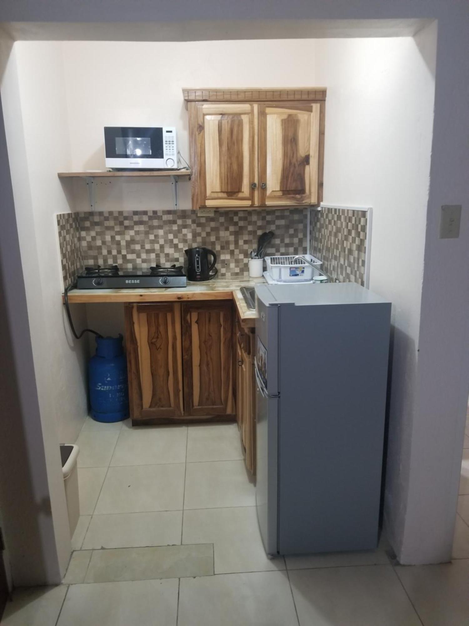 Wizzy Apartment White River Ocho Rios Zewnętrze zdjęcie
