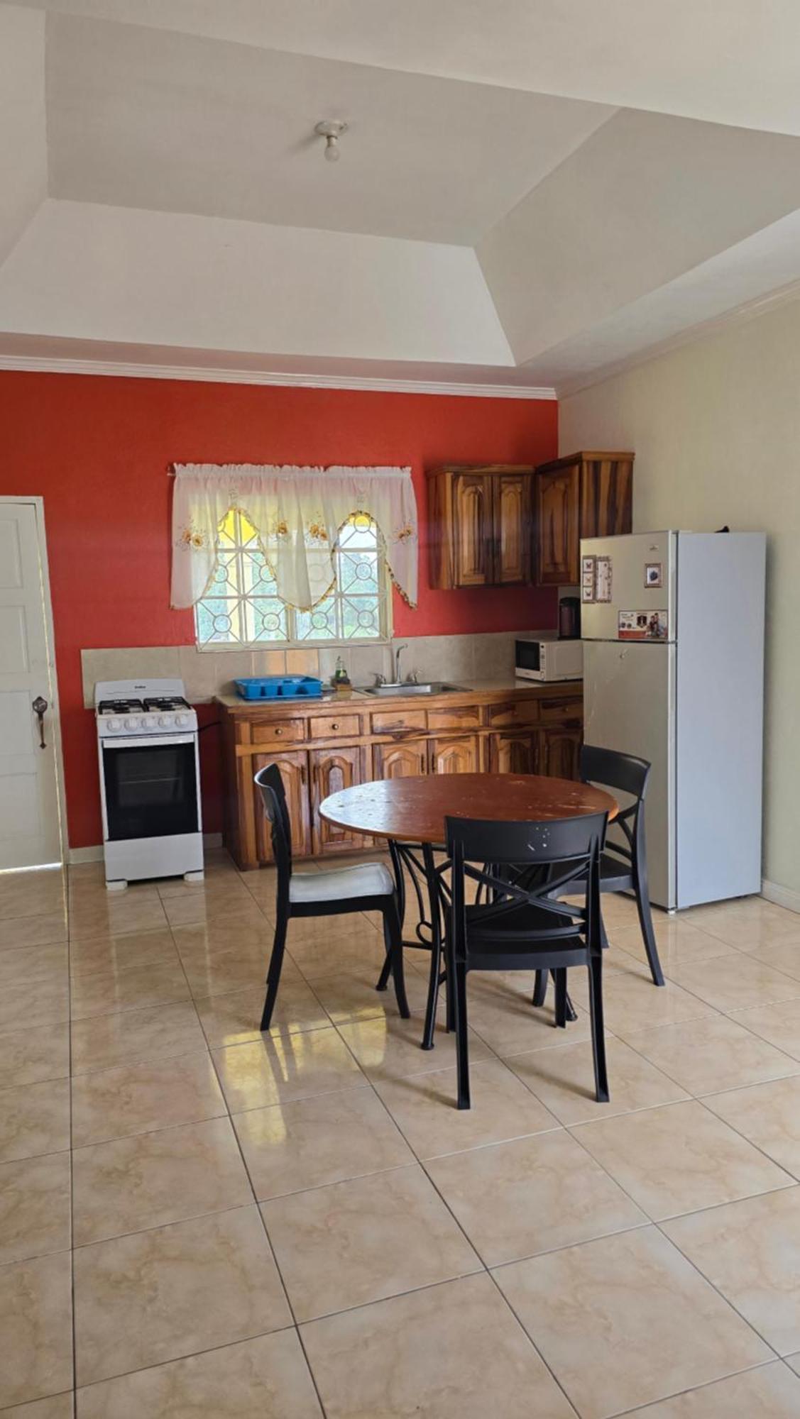Wizzy Apartment White River Ocho Rios Zewnętrze zdjęcie