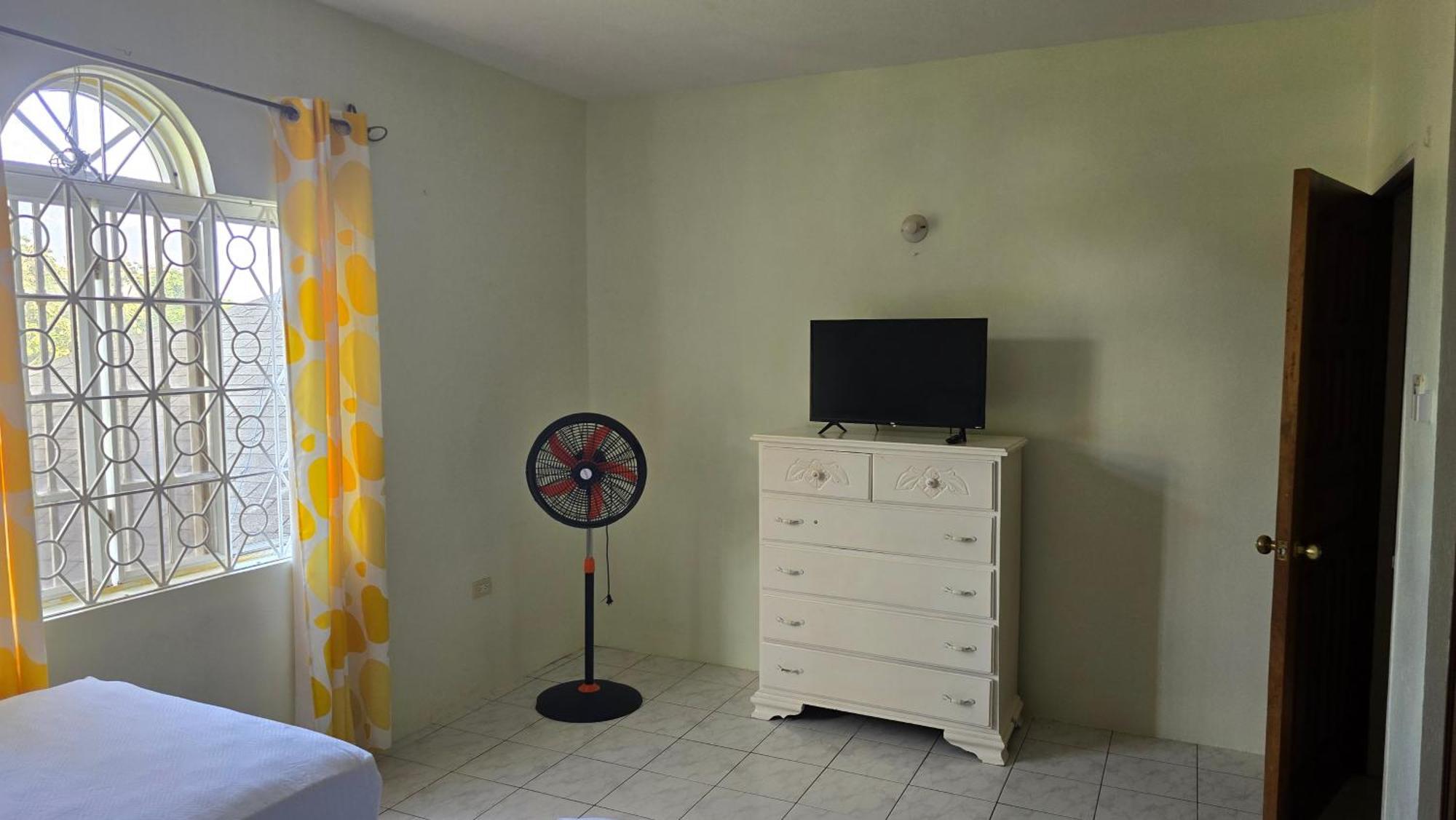 Wizzy Apartment White River Ocho Rios Pokój zdjęcie