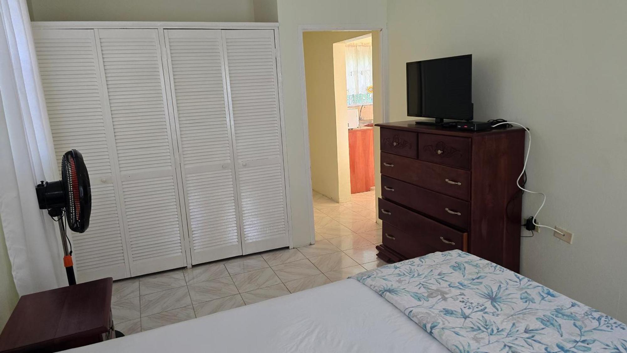 Wizzy Apartment White River Ocho Rios Zewnętrze zdjęcie
